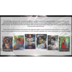 2026 Topps Chrome UFC Delight Box - Image 2